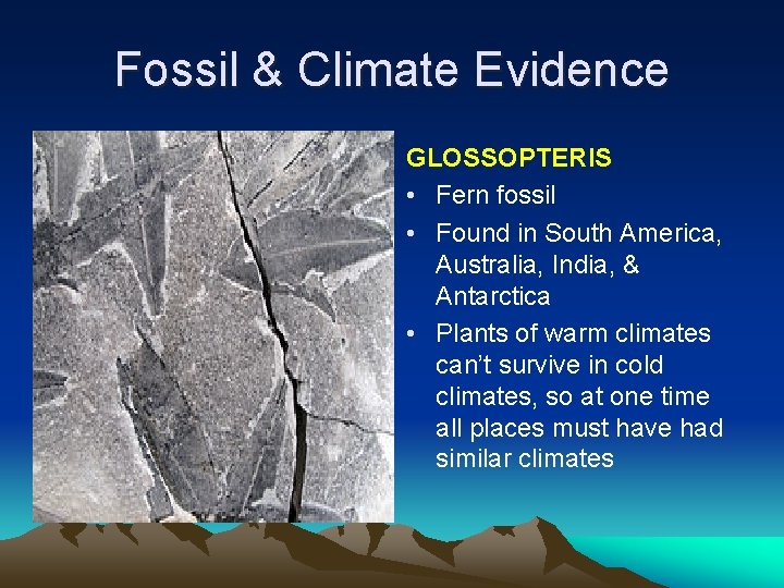 Fossil & Climate Evidence GLOSSOPTERIS • Fern fossil • Found in South America, Australia, Fossil & Climate Evidence GLOSSOPTERIS • Fern fossil • Found in South America, Australia,