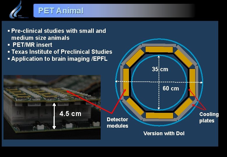 PET Animal § Pre-clinical studies with small and medium size animals § PET/MR insert