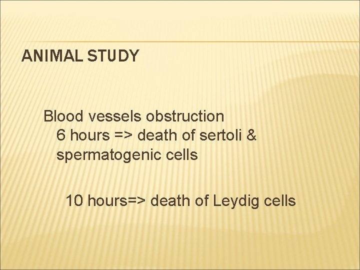 ANIMAL STUDY Blood vessels obstruction 6 hours => death of sertoli & spermatogenic cells