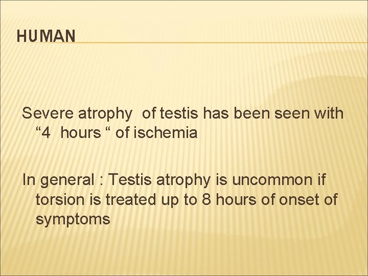 HUMAN Severe atrophy of testis has been seen with “ 4 hours “ of