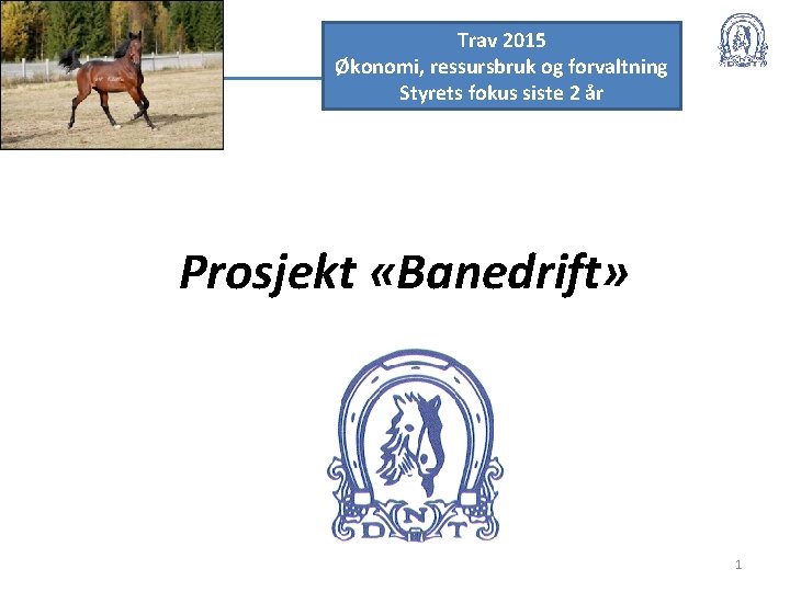 Trav 2015 Økonomi, ressursbruk og forvaltning Styrets fokus siste 2 år Prosjekt «Banedrift» 1