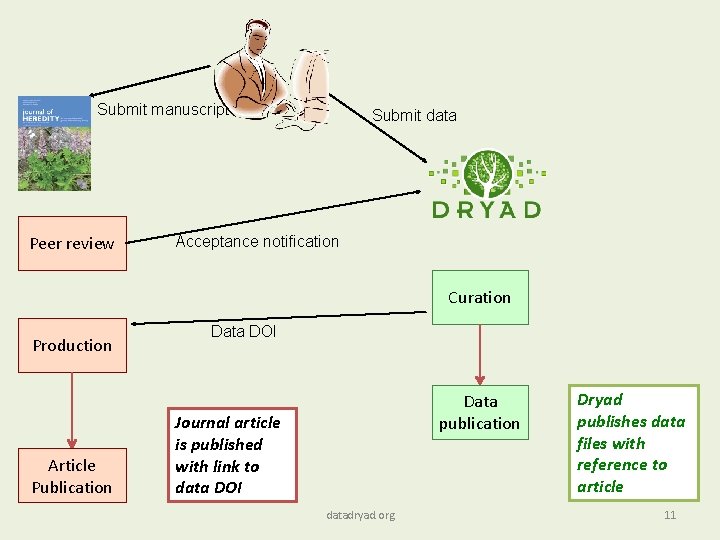 Submit manuscript Peer review Submit data Acceptance notification Curation Production Article Publication Data DOI