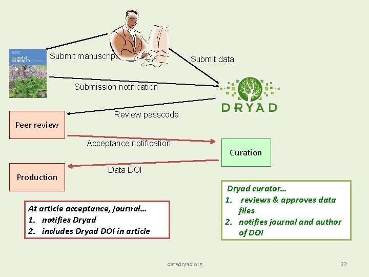 Submit manuscript Submit data Submission notification Peer review Review passcode Acceptance notification Production Curation