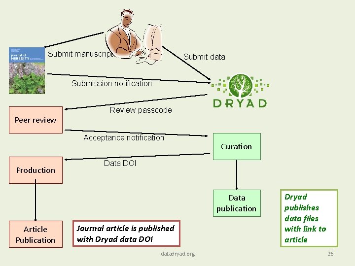Submit manuscript Submit data Submission notification Peer review Review passcode Acceptance notification Production Curation