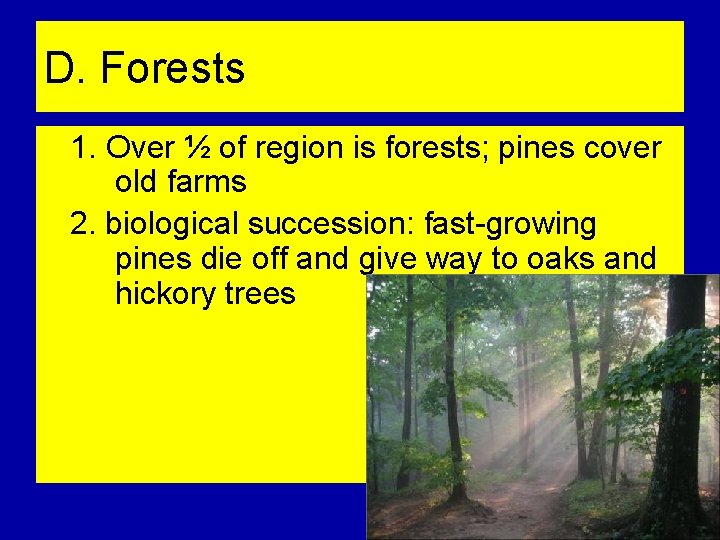 D. Forests 1. Over ½ of region is forests; pines cover old farms 2.