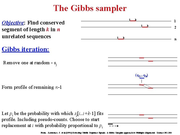 The Gibbs sampler Objective: Find conserved segment of length k in n unrelated sequences