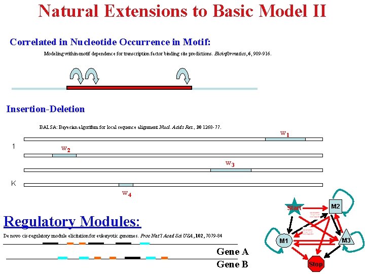 Natural Extensions to Basic Model II Correlated in Nucleotide Occurrence in Motif: Modeling within-motif