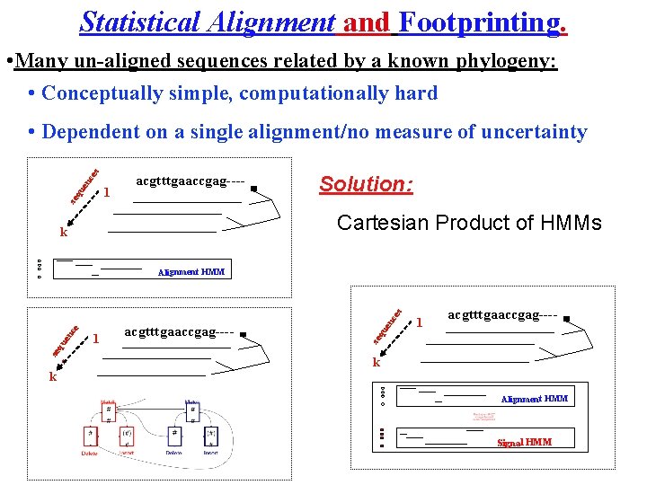 Statistical Alignment and Footprinting. • Many un-aligned sequences related by a known phylogeny: •