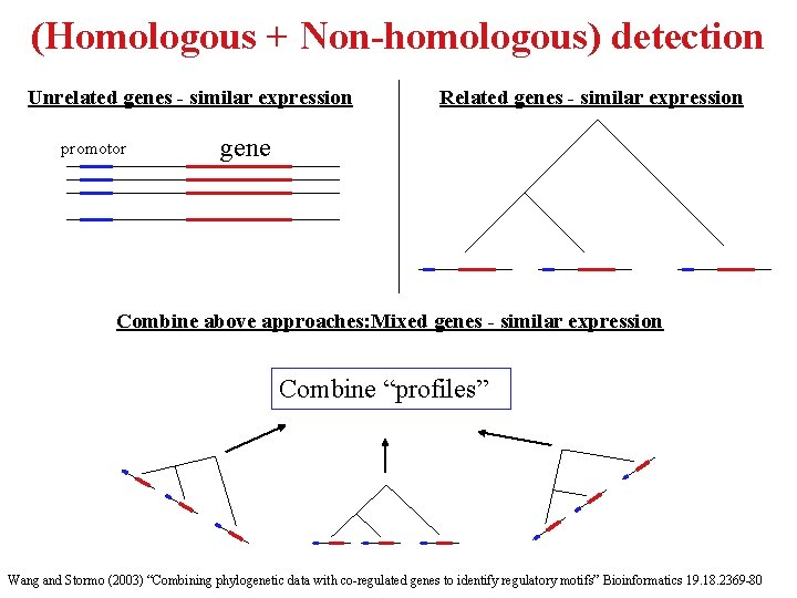 (Homologous + Non-homologous) detection Unrelated genes - similar expression promotor Related genes - similar