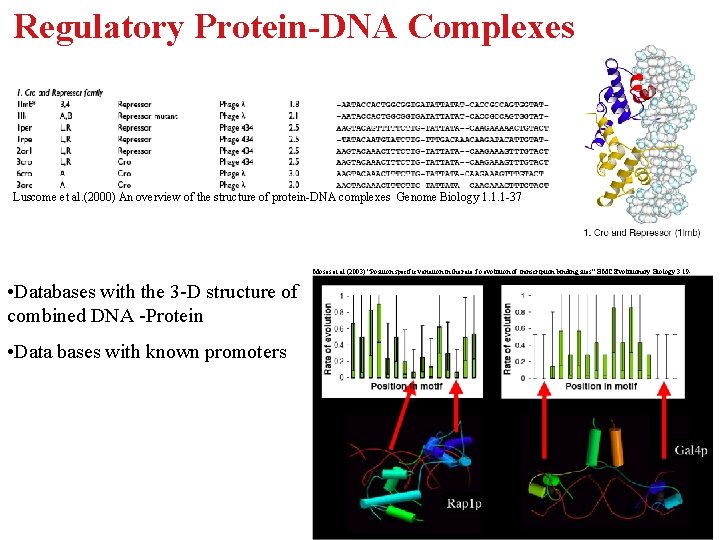Regulatory Protein-DNA Complexes Luscome et al. (2000) An overview of the structure of protein-DNA