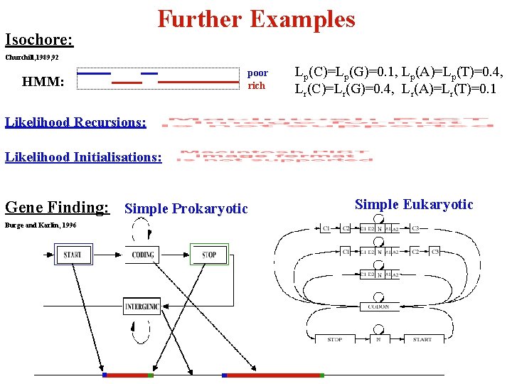 Isochore: Further Examples Churchill, 1989, 92 HMM: poor rich Lp(C)=Lp(G)=0. 1, Lp(A)=Lp(T)=0. 4, Lr(C)=Lr(G)=0.