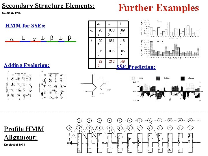 Secondary Structure Elements: Further Examples Goldman, 1996 HMM for SSEs: a L L Adding