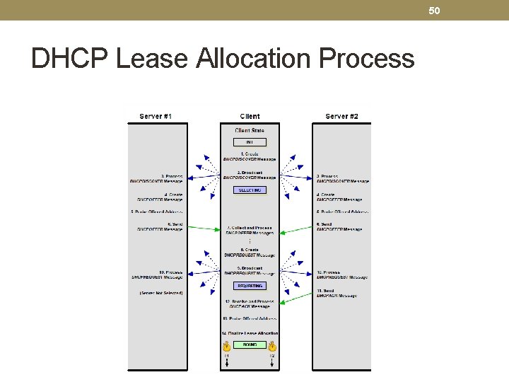 50 DHCP Lease Allocation Process 