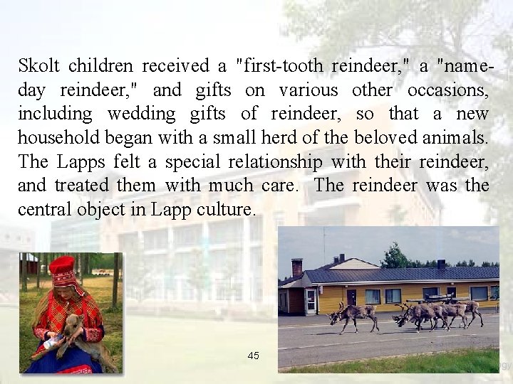 Skolt children received a "first-tooth reindeer, " a "nameday reindeer, " and gifts on