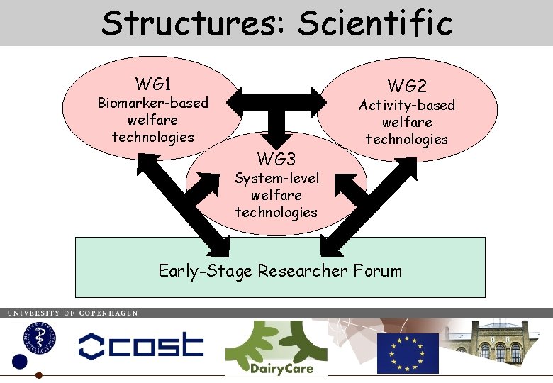 Structures: Scientific WG 1 WG 2 Biomarker-based welfare technologies WG 3 Activity-based welfare technologies