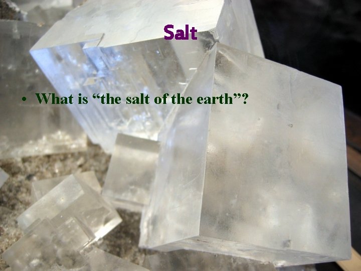 Salt • What is “the salt of the earth”? 