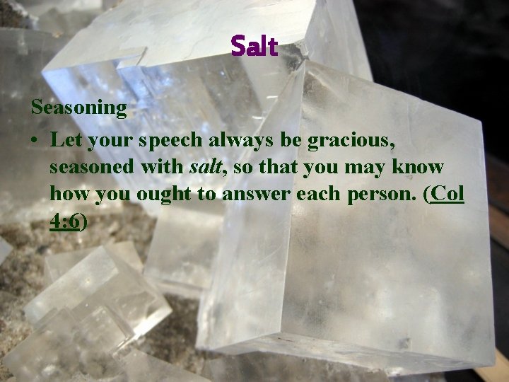 Salt Seasoning • Let your speech always be gracious, seasoned with salt, so that