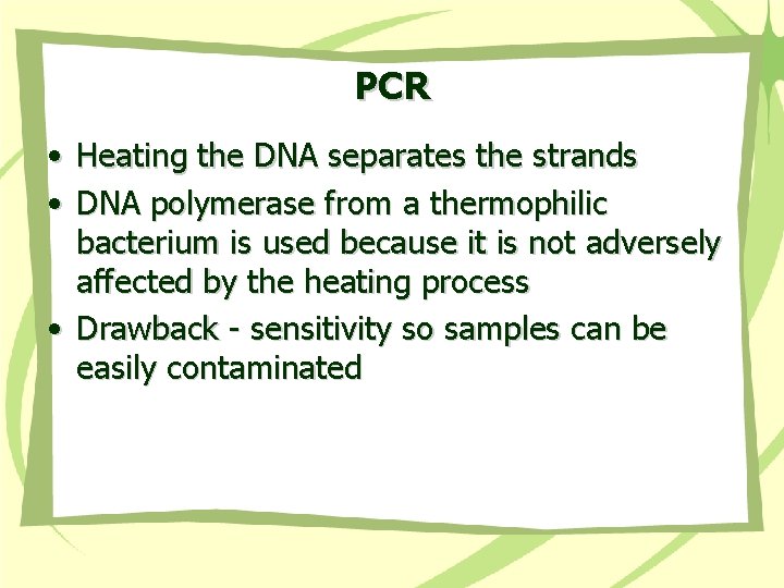 PCR • Heating the DNA separates the strands • DNA polymerase from a thermophilic