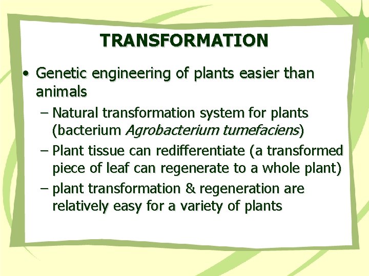 TRANSFORMATION • Genetic engineering of plants easier than animals – Natural transformation system for