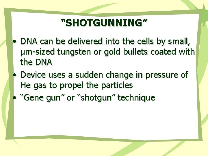 “SHOTGUNNING” • DNA can be delivered into the cells by small, µm-sized tungsten or
