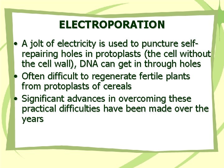 ELECTROPORATION • A jolt of electricity is used to puncture selfrepairing holes in protoplasts