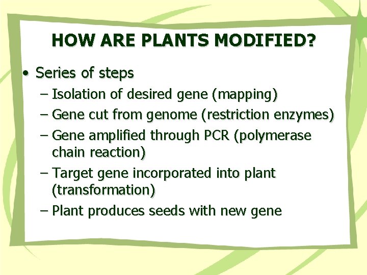 HOW ARE PLANTS MODIFIED? • Series of steps – Isolation of desired gene (mapping)