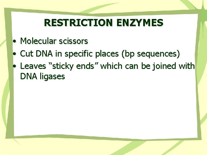 RESTRICTION ENZYMES • • • Molecular scissors Cut DNA in specific places (bp sequences)