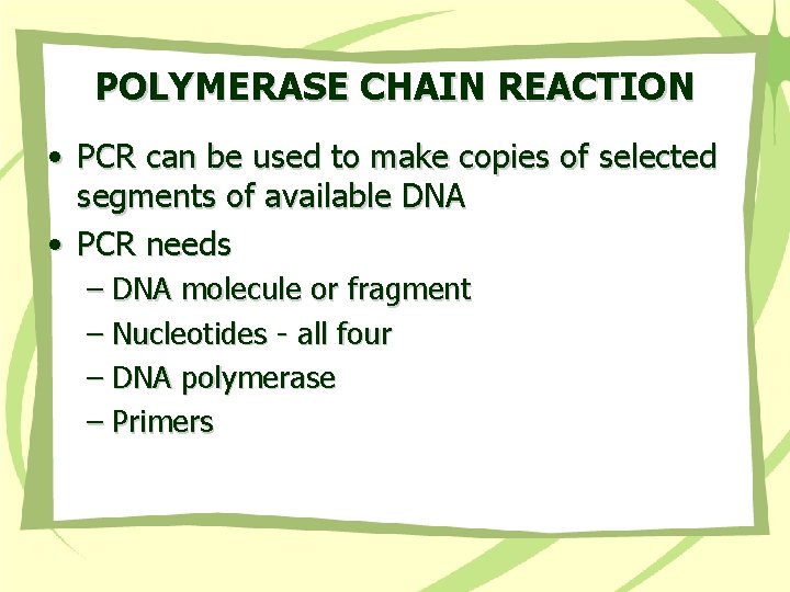 POLYMERASE CHAIN REACTION • PCR can be used to make copies of selected segments