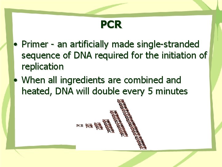 PCR • Primer - an artificially made single-stranded sequence of DNA required for the