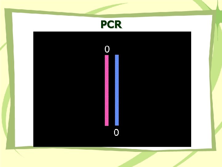 PCR 