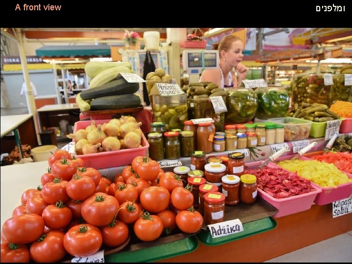 A front view ומלפנים 