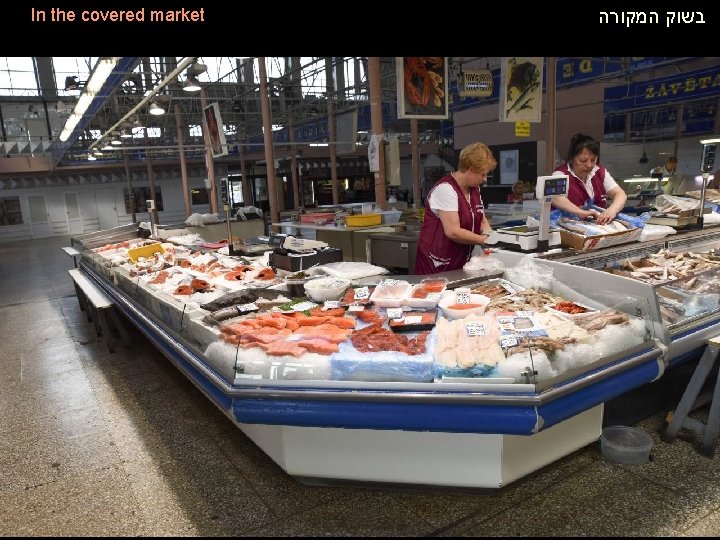 In the covered market בשוק המקורה 