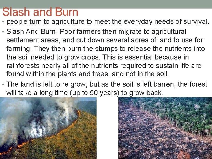 Slash and Burn • people turn to agriculture to meet the everyday needs of