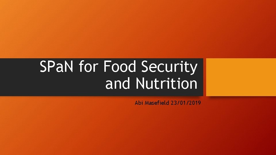 SPa. N for Food Security and Nutrition Abi Masefield 23/01/2019 