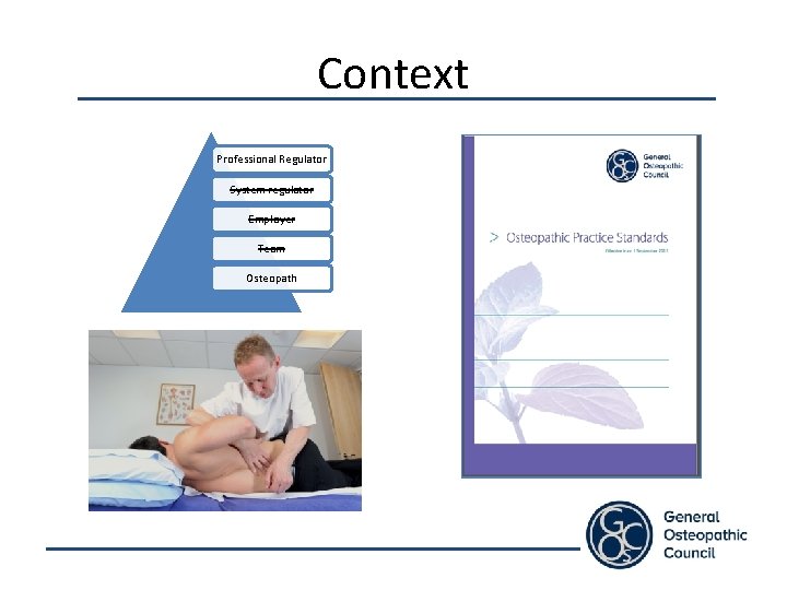 Context Professional Regulator System regulator Employer Team Osteopath 