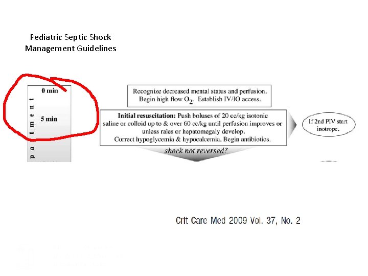 Pediatric Septic Shock Management Guidelines 