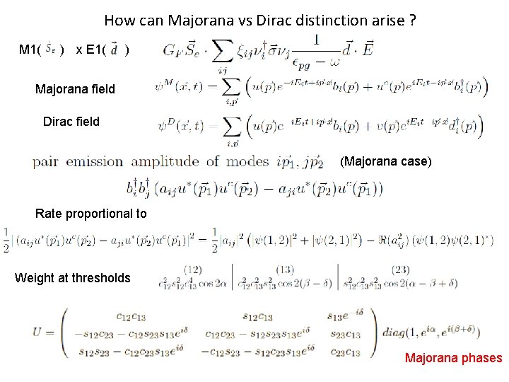 How can Majorana vs Dirac distinction arise ? M 1( 　)　 x E 1(