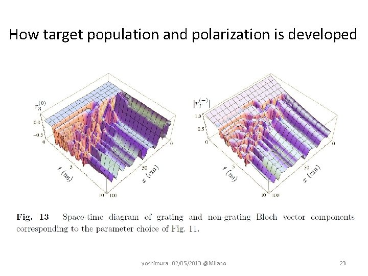 How target population and polarization is developed yoshimura　02/05/2013 @Milano 23 