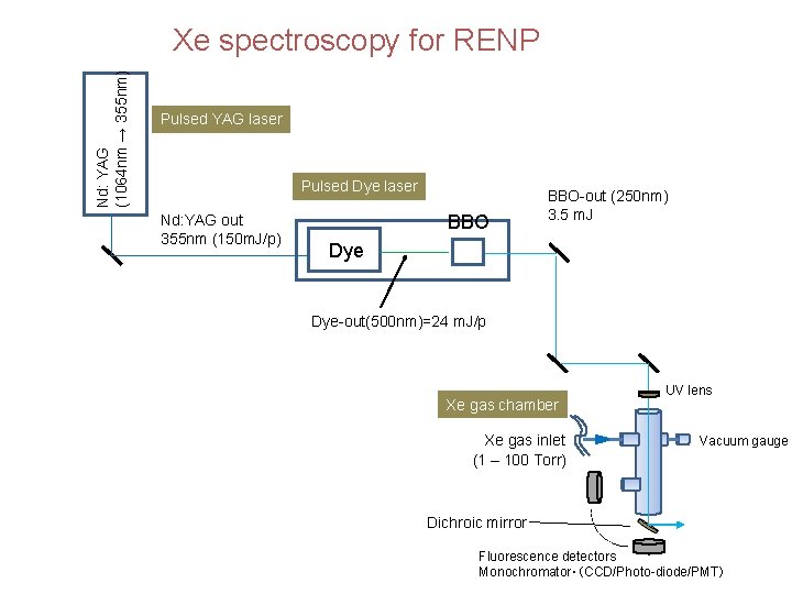 Nd: YAG (1064 nm → 355 nm) Xe spectroscopy for RENP Pulsed YAG laser