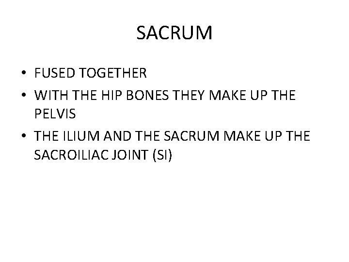 SACRUM • FUSED TOGETHER • WITH THE HIP BONES THEY MAKE UP THE PELVIS