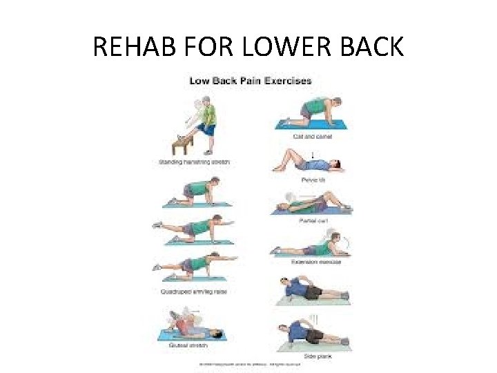 REHAB FOR LOWER BACK 