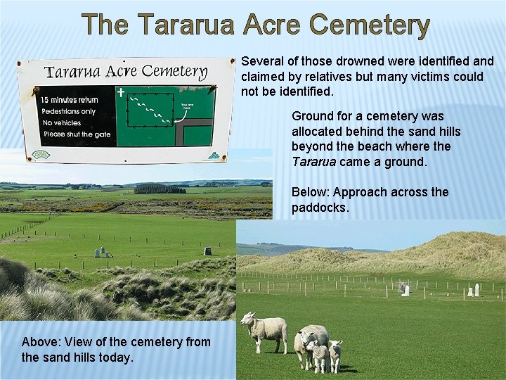 The Tararua Acre Cemetery Several of those drowned were identified and claimed by relatives