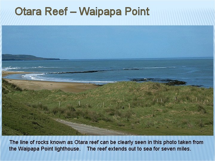 Otara Reef – Waipapa Point The line of rocks known as Otara reef can