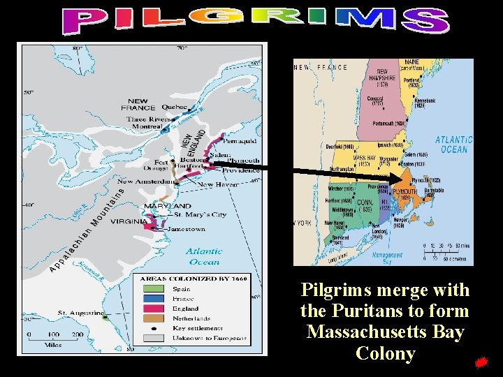 Pilgrims merge with the Puritans to form Massachusetts Bay Colony Pilgrims merge with the Puritans to form Massachusetts Bay Colony