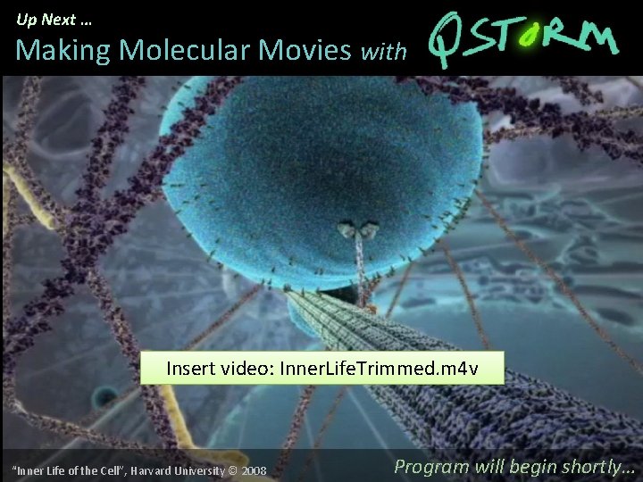 Up Next … Making Molecular Movies with Insert video: Inner. Life. Trimmed. m 4