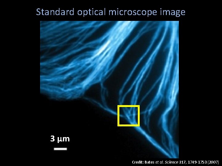 Standard optical microscope image 3 μm Credit: Bates et al. Science 317, 1749 -1753