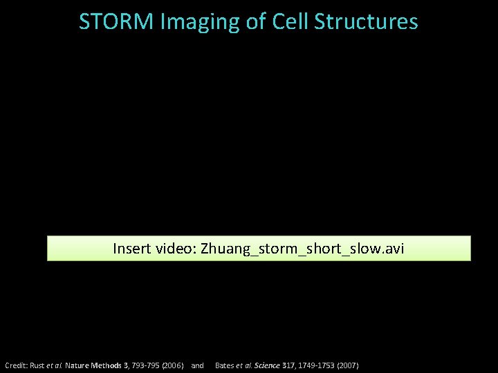 STORM Imaging of Cell Structures Insert video: Zhuang_storm_short_slow. avi Credit: Rust et al. Nature