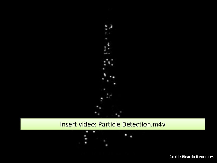 Insert video: Particle Detection. m 4 v Credit: Ricardo Henriques 
