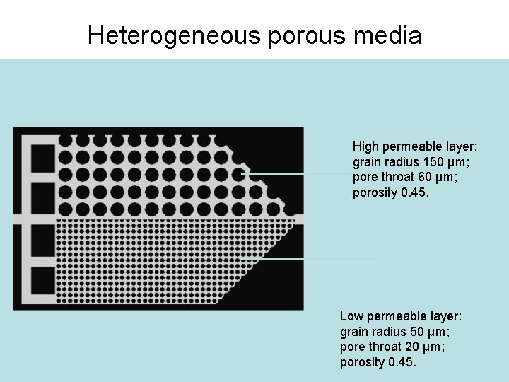 Heterogeneous porous media High permeable layer: grain radius 150 μm; pore throat 60 μm;