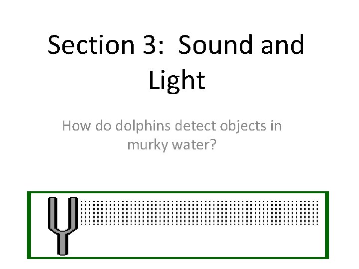 Section 3: Sound and Light How do dolphins detect objects in murky water? 